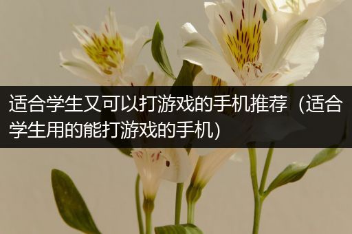 适合学生又可以打游戏的手机推荐（适合学生用的能打游戏的手机）
