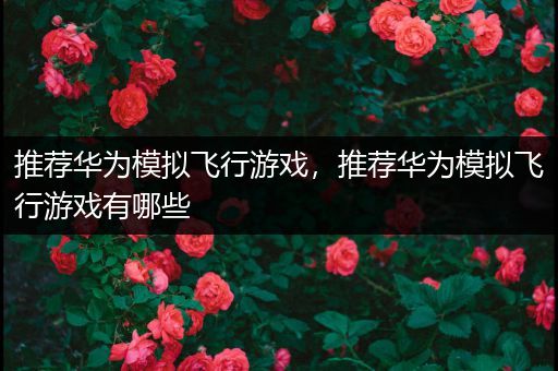 推荐华为模拟飞行游戏，推荐华为模拟飞行游戏有哪些