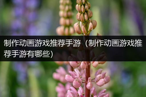 制作动画游戏推荐手游（制作动画游戏推荐手游有哪些）
