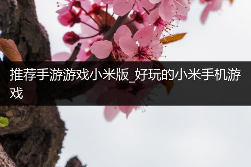 推荐手游游戏小米版_好玩的小米手机游戏