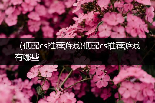 （低配cs推荐游戏)低配cs推荐游戏有哪些