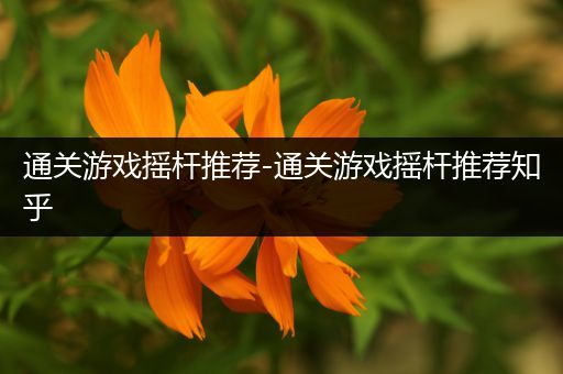 通关游戏摇杆推荐-通关游戏摇杆推荐知乎