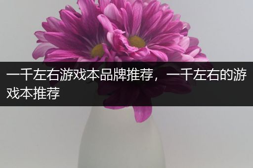 一千左右游戏本品牌推荐，一千左右的游戏本推荐