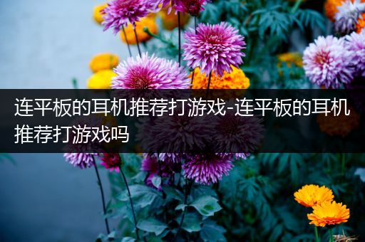 连平板的耳机推荐打游戏-连平板的耳机推荐打游戏吗