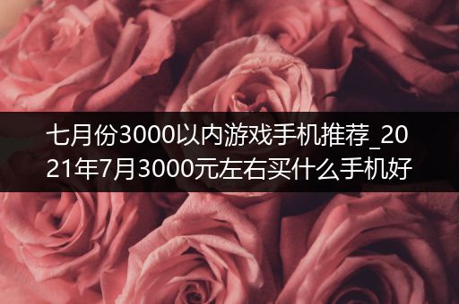 七月份3000以内游戏手机推荐_2021年7月3000元左右买什么手机好