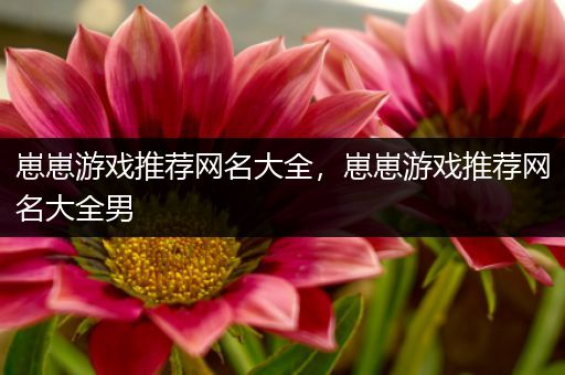 崽崽游戏推荐网名大全，崽崽游戏推荐网名大全男