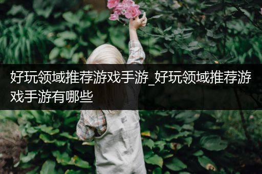 好玩领域推荐游戏手游_好玩领域推荐游戏手游有哪些