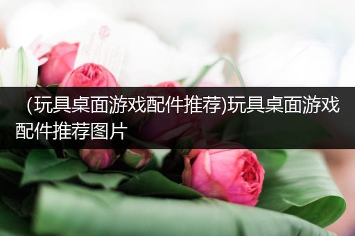 （玩具桌面游戏配件推荐)玩具桌面游戏配件推荐图片