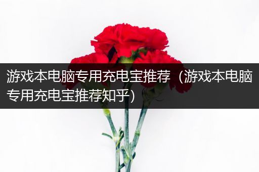 游戏本电脑专用充电宝推荐（游戏本电脑专用充电宝推荐知乎）