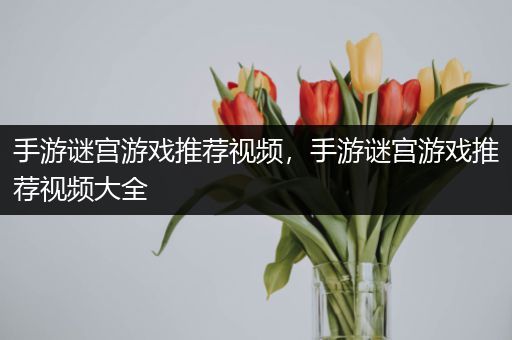 手游谜宫游戏推荐视频，手游谜宫游戏推荐视频大全