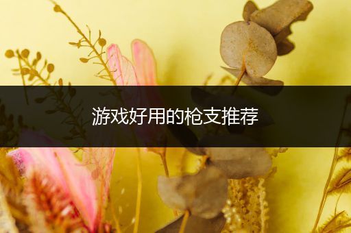 游戏好用的枪支推荐
