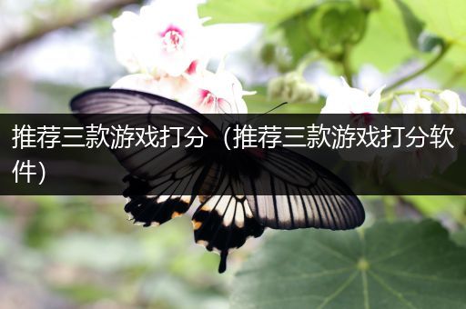 推荐三款游戏打分（推荐三款游戏打分软件）