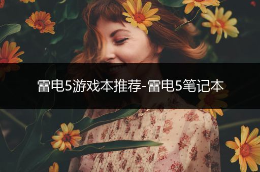 雷电5游戏本推荐-雷电5笔记本