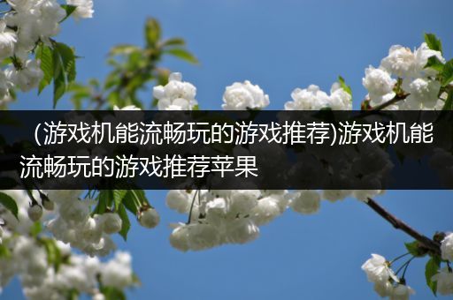 （游戏机能流畅玩的游戏推荐)游戏机能流畅玩的游戏推荐苹果