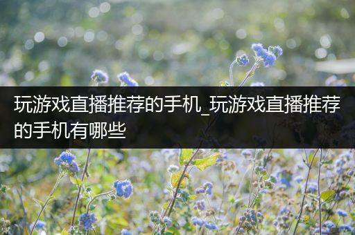 玩游戏直播推荐的手机_玩游戏直播推荐的手机有哪些