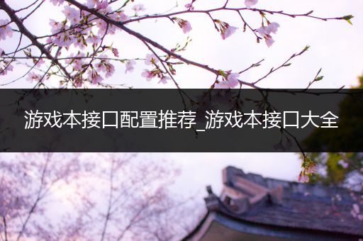 游戏本接口配置推荐_游戏本接口大全