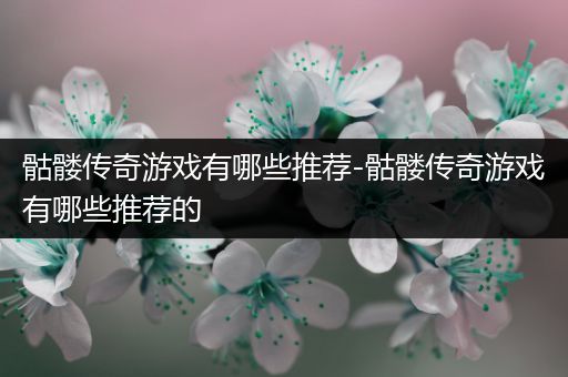 骷髅传奇游戏有哪些推荐-骷髅传奇游戏有哪些推荐的