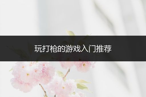 玩打枪的游戏入门推荐