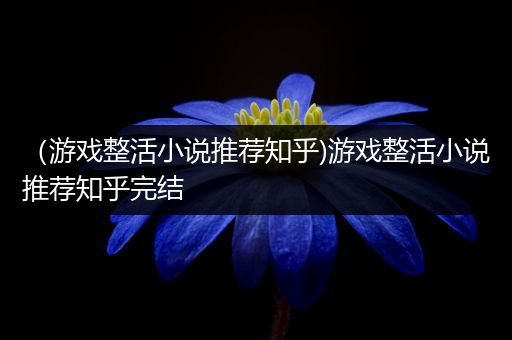 （游戏整活小说推荐知乎)游戏整活小说推荐知乎完结