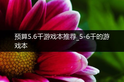 预算5.6千游戏本推荐_5-6千的游戏本
