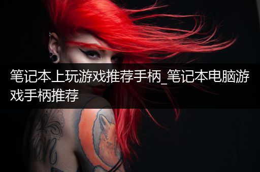 笔记本上玩游戏推荐手柄_笔记本电脑游戏手柄推荐
