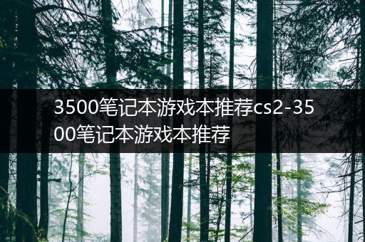 3500笔记本游戏本推荐cs2-3500笔记本游戏本推荐