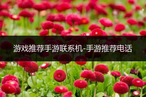 游戏推荐手游联系机-手游推荐电话