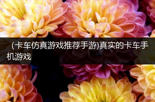 （卡车仿真游戏推荐手游)真实的卡车手机游戏