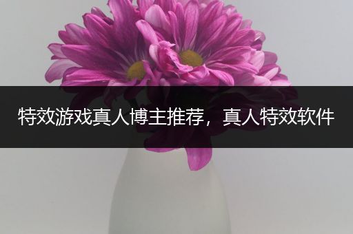 特效游戏真人博主推荐，真人特效软件