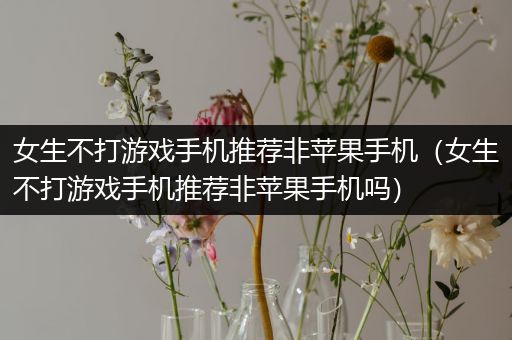 女生不打游戏手机推荐非苹果手机（女生不打游戏手机推荐非苹果手机吗）