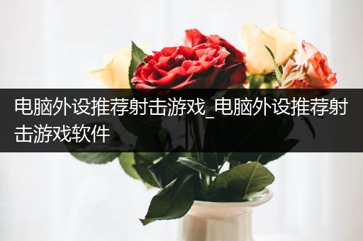 电脑外设推荐射击游戏_电脑外设推荐射击游戏软件
