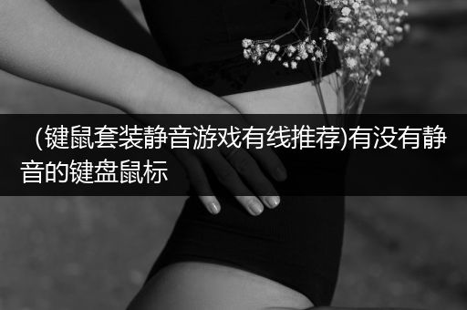（键鼠套装静音游戏有线推荐)有没有静音的键盘鼠标