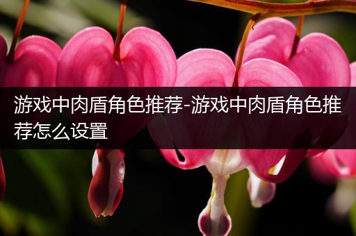 游戏中肉盾角色推荐-游戏中肉盾角色推荐怎么设置