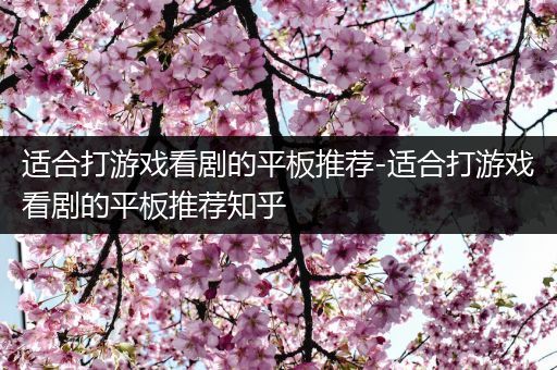 适合打游戏看剧的平板推荐-适合打游戏看剧的平板推荐知乎