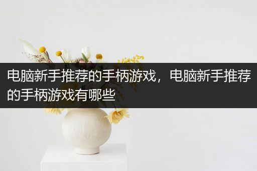 电脑新手推荐的手柄游戏，电脑新手推荐的手柄游戏有哪些