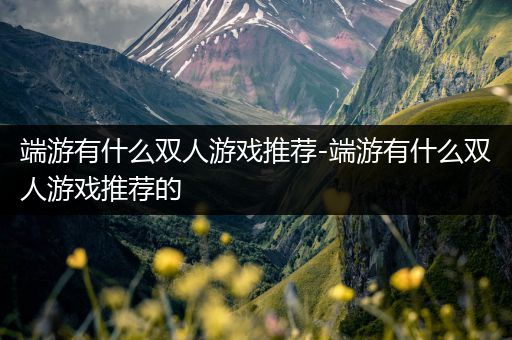 端游有什么双人游戏推荐-端游有什么双人游戏推荐的