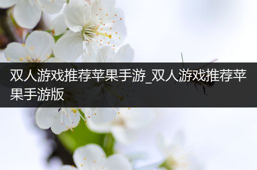 双人游戏推荐苹果手游_双人游戏推荐苹果手游版