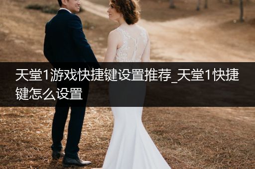 天堂1游戏快捷键设置推荐_天堂1快捷键怎么设置