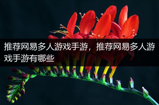 推荐网易多人游戏手游，推荐网易多人游戏手游有哪些