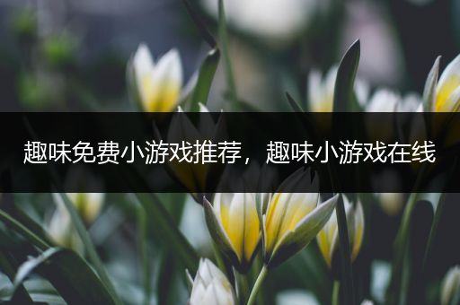 趣味免费小游戏推荐，趣味小游戏在线