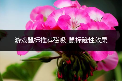游戏鼠标推荐磁吸_鼠标磁性效果