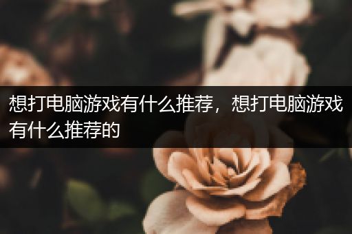想打电脑游戏有什么推荐，想打电脑游戏有什么推荐的