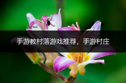 手游教村落游戏推荐，手游村庄