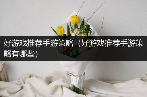 好游戏推荐手游策略（好游戏推荐手游策略有哪些）