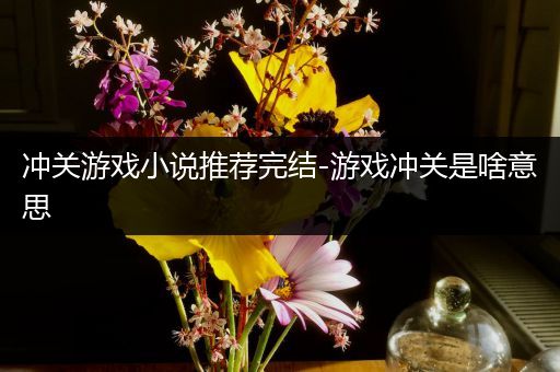 冲关游戏小说推荐完结-游戏冲关是啥意思