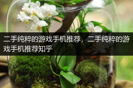 二手纯粹的游戏手机推荐，二手纯粹的游戏手机推荐知乎