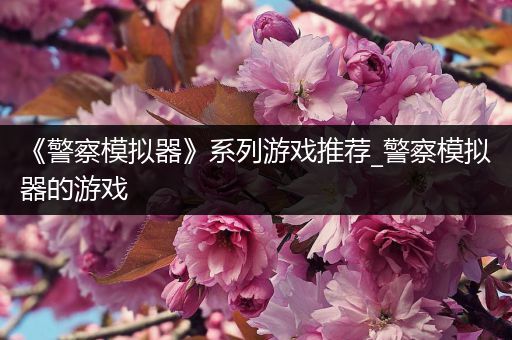 《警察模拟器》系列游戏推荐_警察模拟器的游戏