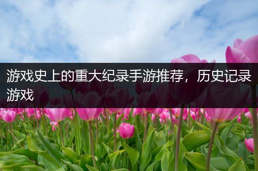 游戏史上的重大纪录手游推荐，历史记录游戏