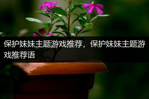 保护妹妹主题游戏推荐，保护妹妹主题游戏推荐语