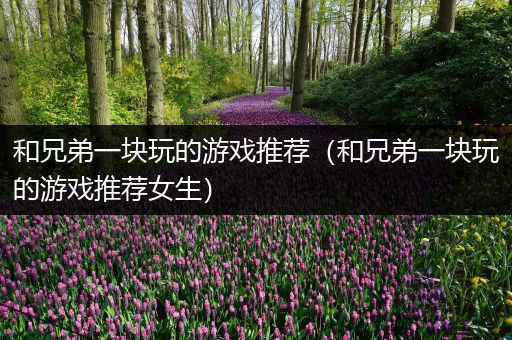 和兄弟一块玩的游戏推荐（和兄弟一块玩的游戏推荐女生）